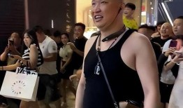 网红炒作爆料视频大全集,视频大全集深度解析